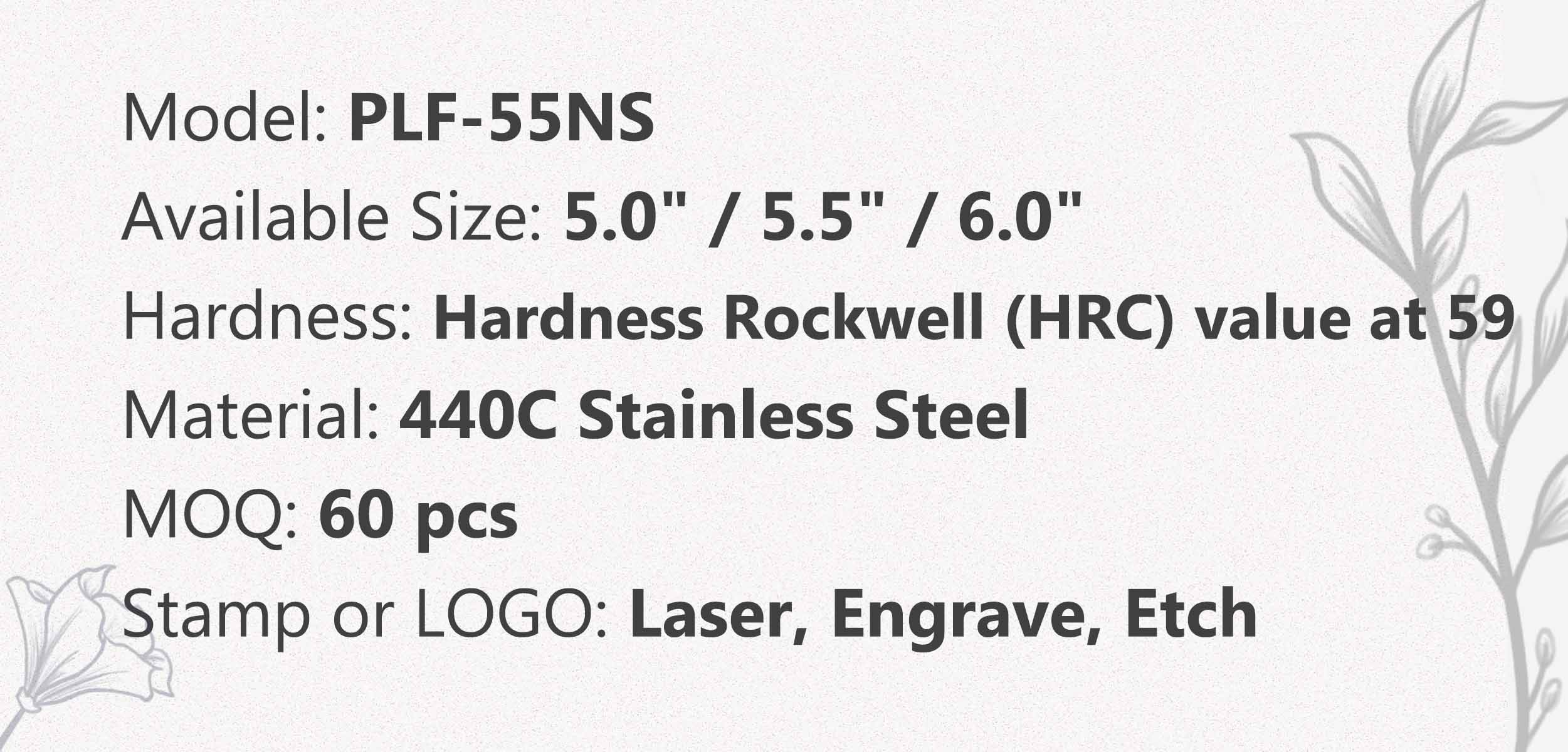 55NS P3