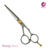 Professional Beauty Hair Scissors (PLF-3D55)