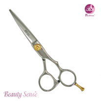 Professional Beauty Hair Scissors (PLF-55GF)