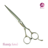 Professional Hair Scissors (PLF-60A2)