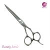 Professional Hair Scissors (PLF-60QB)