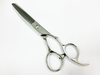 Stainless Steel Forged Thinning Hair Scissors (PLF-FT60BUB)