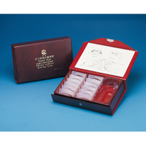 Tattoo Practice Item Eyebrow Design Kit (G-9000)