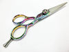 Hair Scissors (PLF-H52BO)